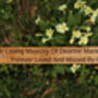 Wooden Engraved Memorial Bench Plaque, thumbnail 5 of 11