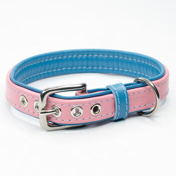 Padded Leather Dog Collar, 4 of 7