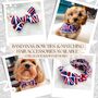 Union Jack Kings Coronation Dog Bandana, thumbnail 6 of 7