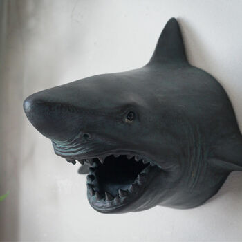 Wall Mounted Shark Head, 4 of 6