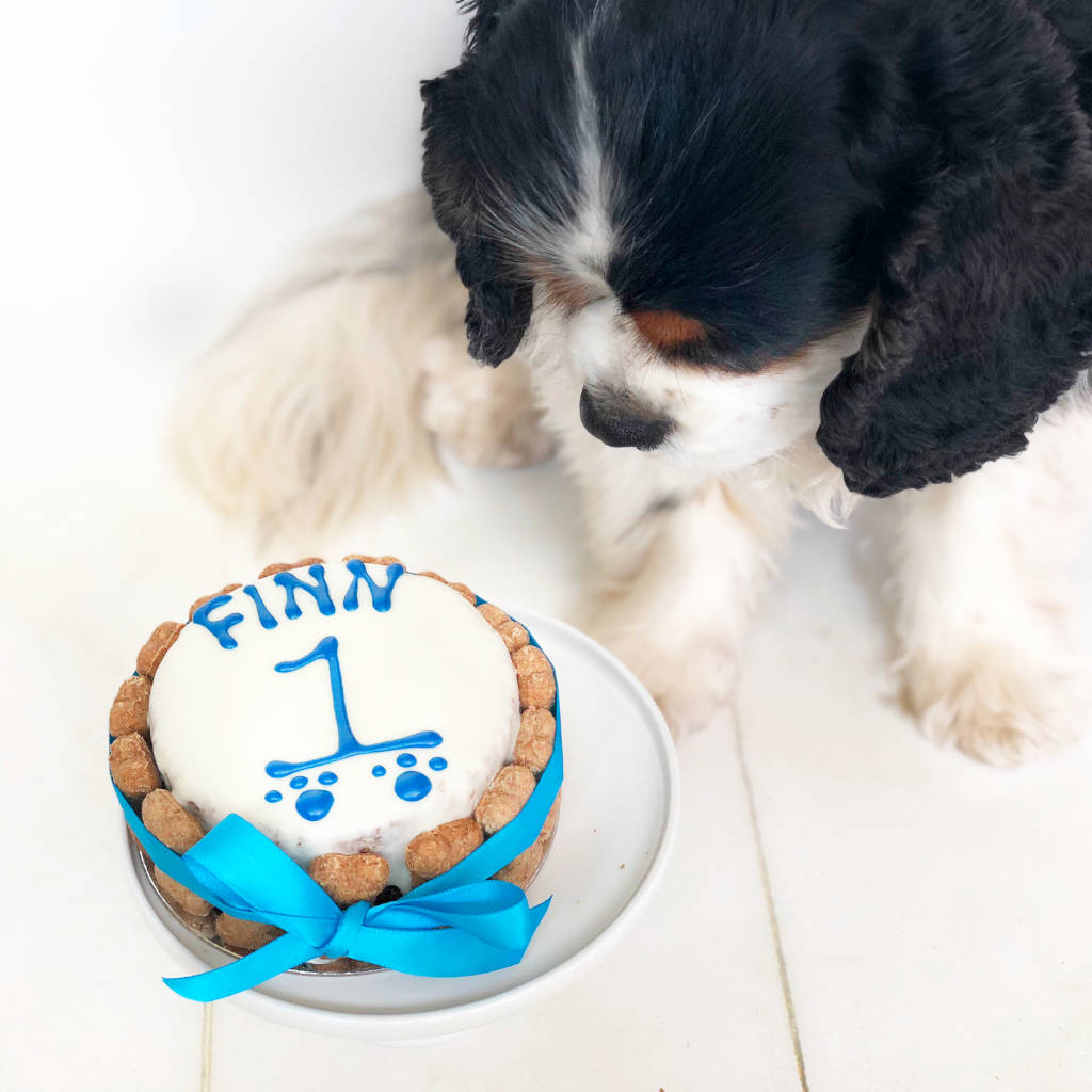 round dog birthday cake by arton & co