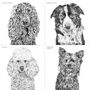 Set Of Four Dog Portrait Prints, thumbnail 9 of 12