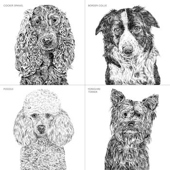Set Of Four Dog Portrait Prints, 9 of 12