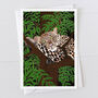 Leopard Greeting Card, thumbnail 1 of 2