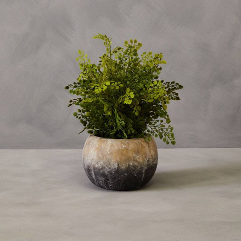 Faux Fern In Dipped Cement Pot, 1 of 4
