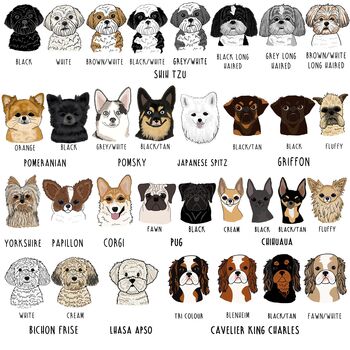 Personalised Dogs Before Dudes Hoody, 10 of 11