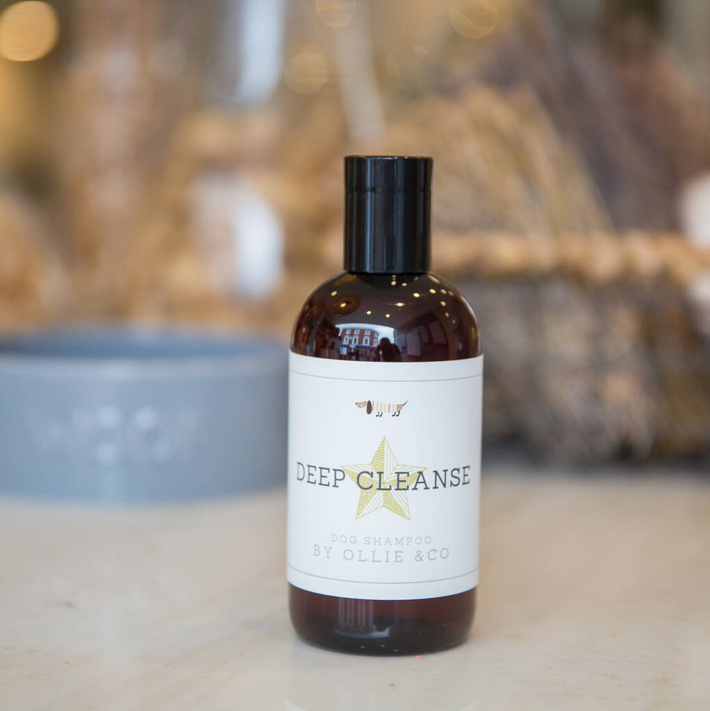 Tea Tree And Eucalyptus Deep Cleanse Dog Shampoo By Ollie & Co