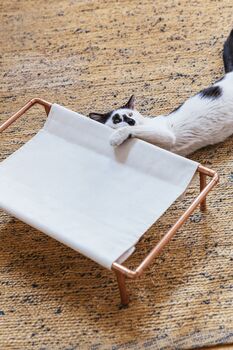 Solid Copper Cat And Dog Hammock, Minimalist Copper Pet Lounger, 5 of 5