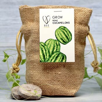 Grow Your Own Mini Melons Set, 8 of 9