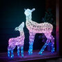 Twinkly Smart LED Outdoor Christmas Doe And Fawn, thumbnail 7 of 12