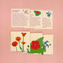 Grow Your Own Edible Flowers Seed Kit, thumbnail 7 of 11
