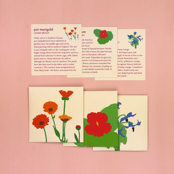 Grow Your Own Edible Flowers Seed Kit, 7 of 11