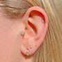14k Solid Gold Opal Tear Drop Labret Earring, thumbnail 4 of 7
