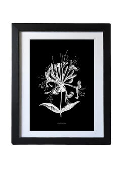 Nine Framed Botanical Wall Art Prints, 7 of 12