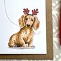 Dachshund Christmas Card, thumbnail 6 of 7