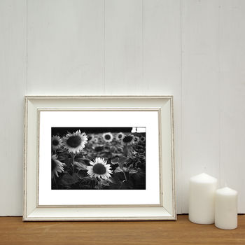 Sunflowers, Couziers, France Photographic Art Print, 2 of 4