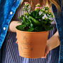Personalised Friendship Flower Pot, thumbnail 1 of 7