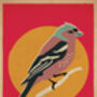 Chaffinch Birds Retro Style Poster Print, thumbnail 2 of 2