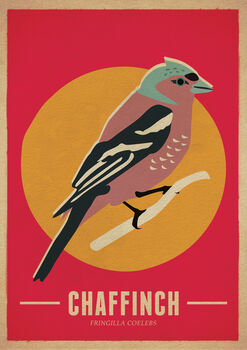 Chaffinch Birds Retro Style Poster Print, 2 of 2