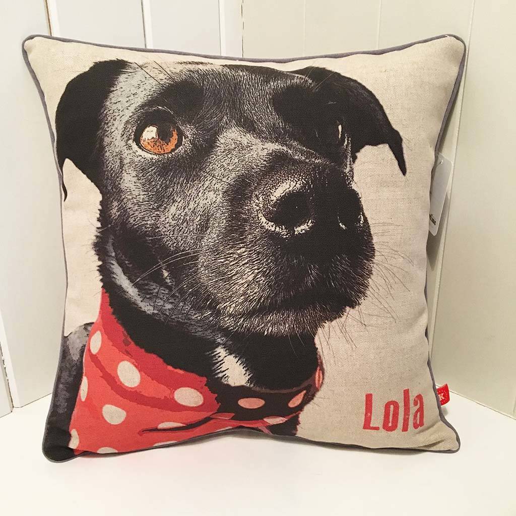 photo dog cushion