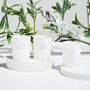Scented Votive Candle Gift Set, thumbnail 1 of 8