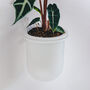 Flo, Self Watering Ceramic And Glass Wall Mount Planter, thumbnail 4 of 12