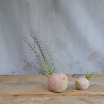Bird Air Plant Holder In Pale Pink, 4 of 12