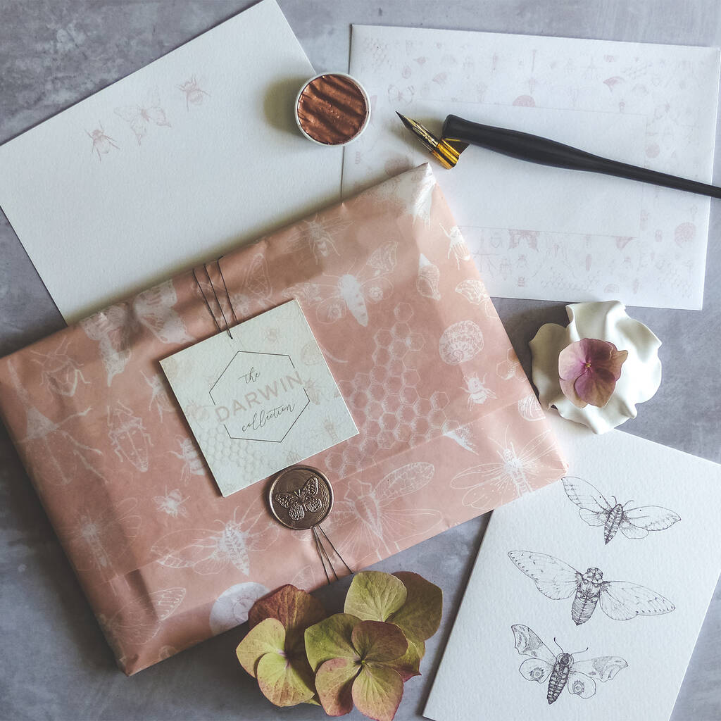 Tissue Wrapped Darwin Stationery Set By Sleepy Bee Studio