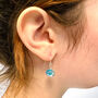 Sterling Silver Crystal Drop Earrings, thumbnail 4 of 4