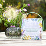Grow Your Own Wildflower Bouquet And Vase Gift Set, thumbnail 5 of 12