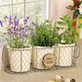 Personalised Set Of Three Gin Herb Planters With Basket, thumbnail 1 of 9