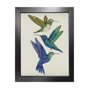 'Antique Hummingbirds Ii' Fine Art Print, 2 of 6