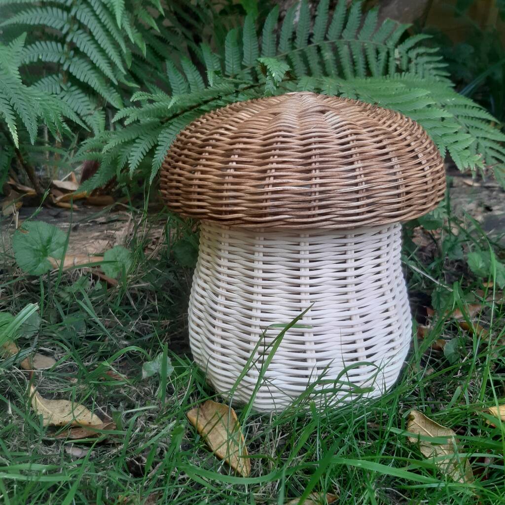 Mushroom Basket With Brown Hand Dyed Lid, 1 of 8
