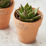 Couples Set Of Two Personalised Terracotta Plant Pots, thumbnail 2 of 5