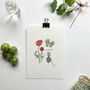 Garden Things Hand Illustrated Postcard Set, thumbnail 1 of 6