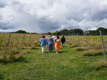 The Great British Vineyard Expedition, Kent, 11 of 12