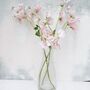 Pink Sweet Pea Stems Faux, thumbnail 6 of 7