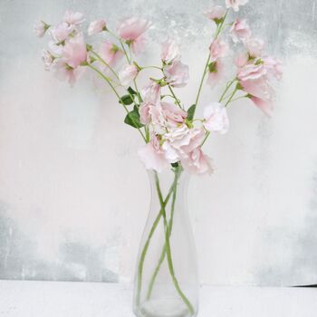 Pink Sweet Pea Stems Faux, 6 of 7