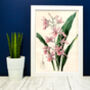 Pink Orchid Wall Art Botanical Print, thumbnail 2 of 6