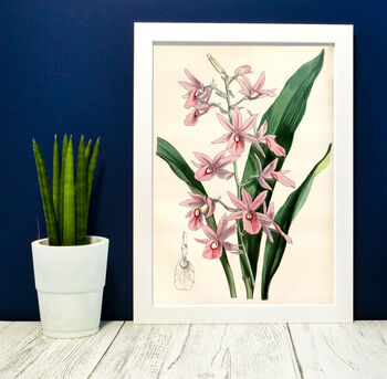Pink Orchid Wall Art Botanical Print, 2 of 6