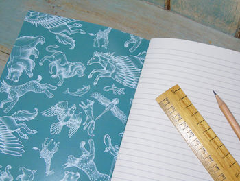 Midnight Menagerie Illustration Notebook Lined Pages, 3 of 4