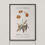 Birth Flower Wall Print 'Cosmos' For October, thumbnail 2 of 9