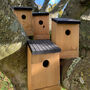 Set Of Four Traditional Wooden Bird Nest Boxes, thumbnail 1 of 6