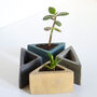 Concrete Mini Triangular Planter Vessel, thumbnail 1 of 11