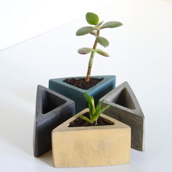 Sustainable Concrete Mini Vessel Planter Triangular, 9 of 11