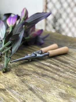 Personalised Wood Handled Flower Scissors, 3 of 3