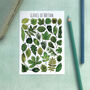Wildlife Of Britain Greeting Cards Multi Pack Of Twelve, thumbnail 7 of 12