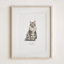 Christmas Gift For Pet Lovers – Personalised Pet Portrait Hand Drawn From Photo, Dog, Cat Or Horse Illustration, thumbnail 6 of 11