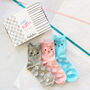 Cute Kitten Box Of Socks, thumbnail 2 of 5