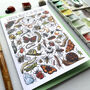 Garden Insects Of Britain Greeting Card, thumbnail 5 of 12
